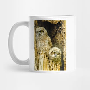 Baby Great Horned Owl Siblings Mug